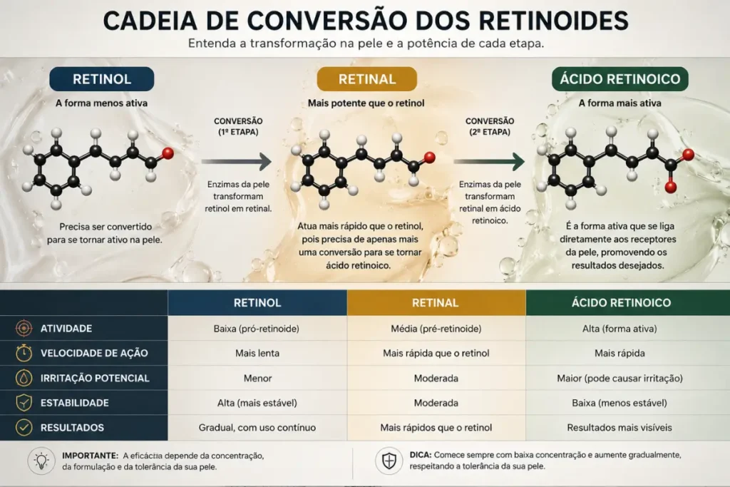 retinol retinal ou bakuchiol
